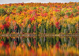 Canada and New England Fall Foliage